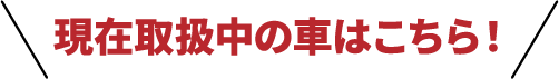 現在取扱中の車はこちら！